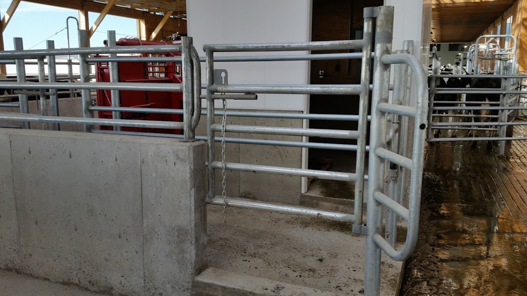 Dykman Cattle Co | 35700 Vye Rd, Abbotsford, BC V3G 1Z5, Canada | Phone: (604) 746-6646