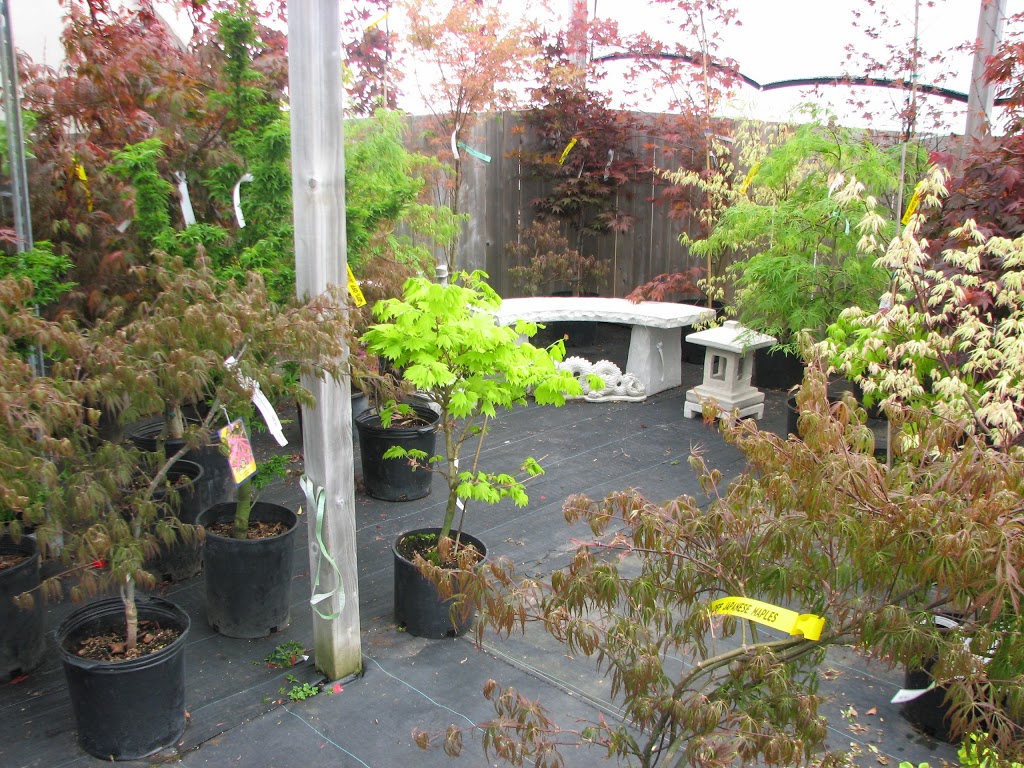 Backyard By Design Garden Centre | 399 North Town Line W, Ingersoll, ON N5C 3J6, Canada | Phone: (519) 485-2815