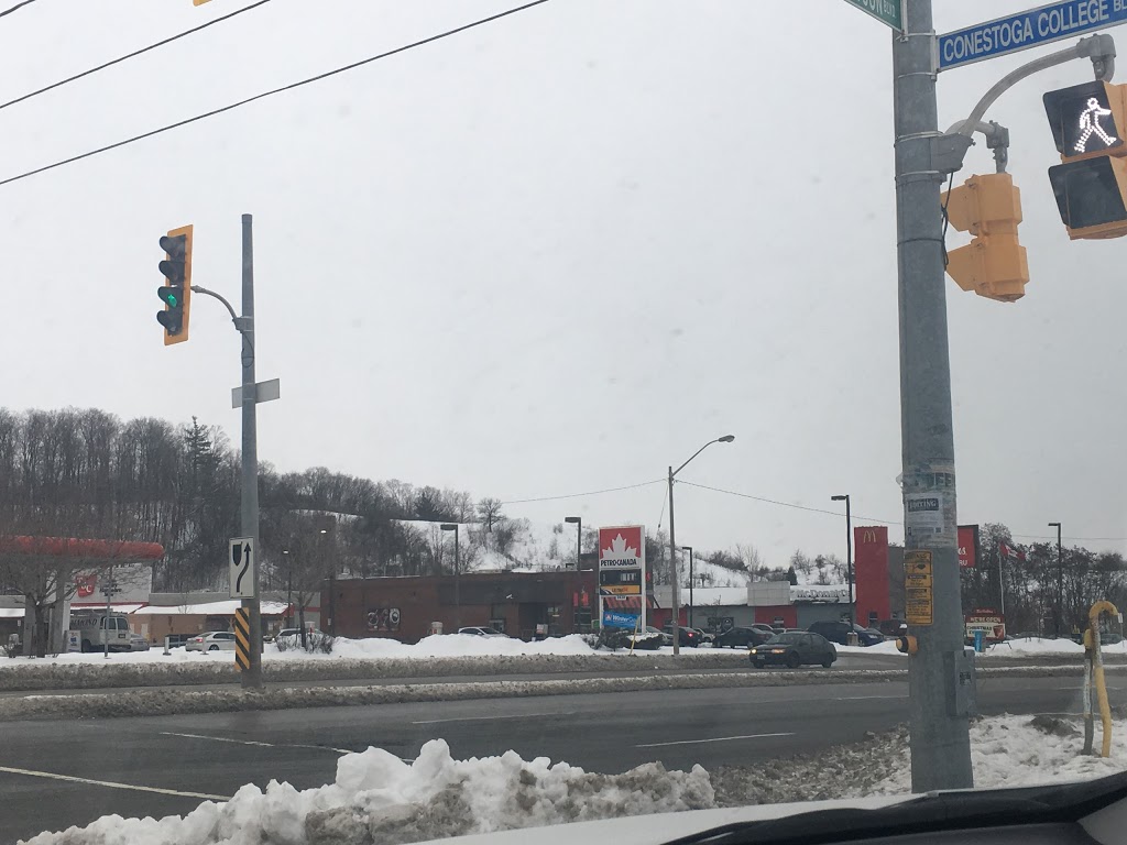 Petro-Canada | 2430 Homer Watson Blvd, Kitchener, ON N2G 3W5, Canada | Phone: (519) 896-7945