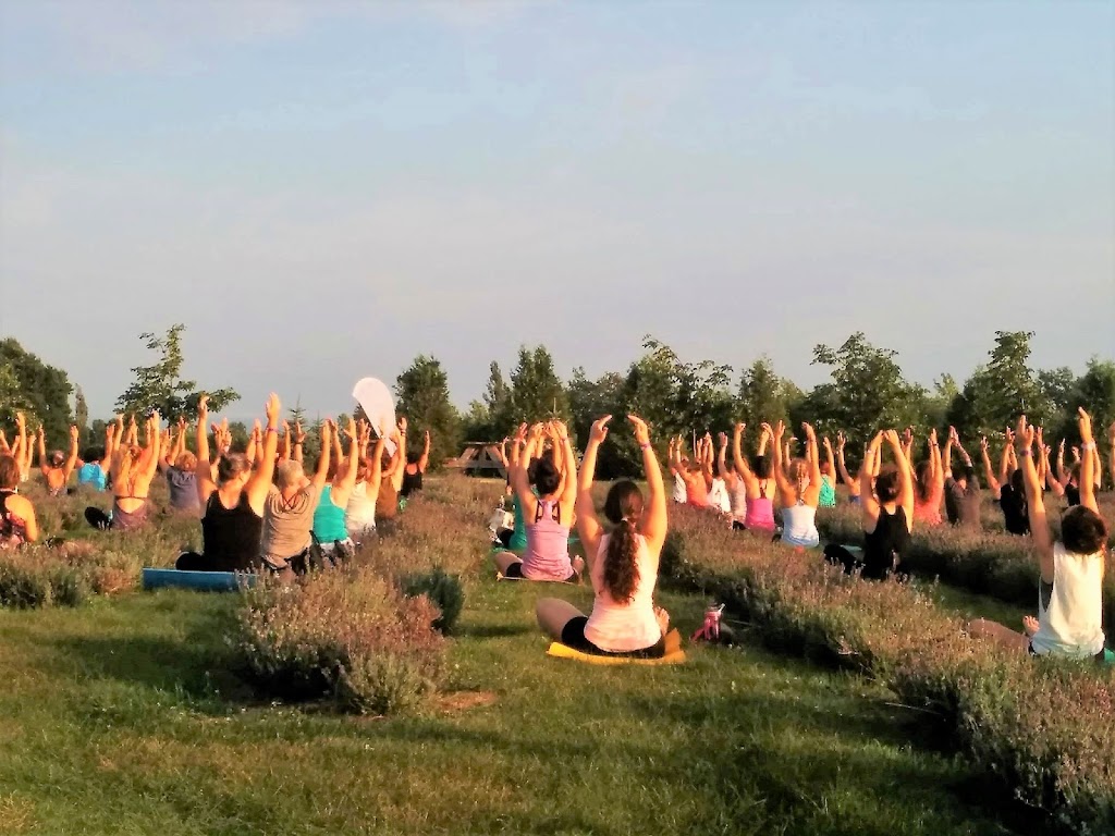 Yogi Nomade | 42 Chem. du Godendard, Lac-Beauport, QC G3B 1P5, Canada | Phone: (581) 995-3818