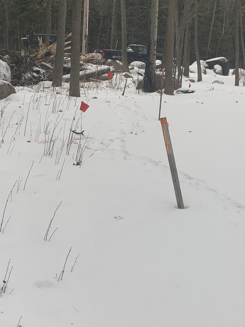 Ladcon construction | 1480 Methodist Point Rd, Tiny, ON L9M 0S8, Canada | Phone: (705) 623-3551