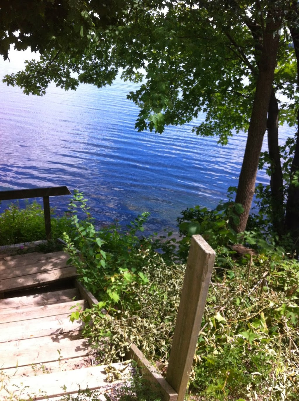 All Seasons Property Services | RR1, 3504 Kirkfield Rd, Sebright, ON L0K 1W0, Canada | Phone: (705) 330-5121