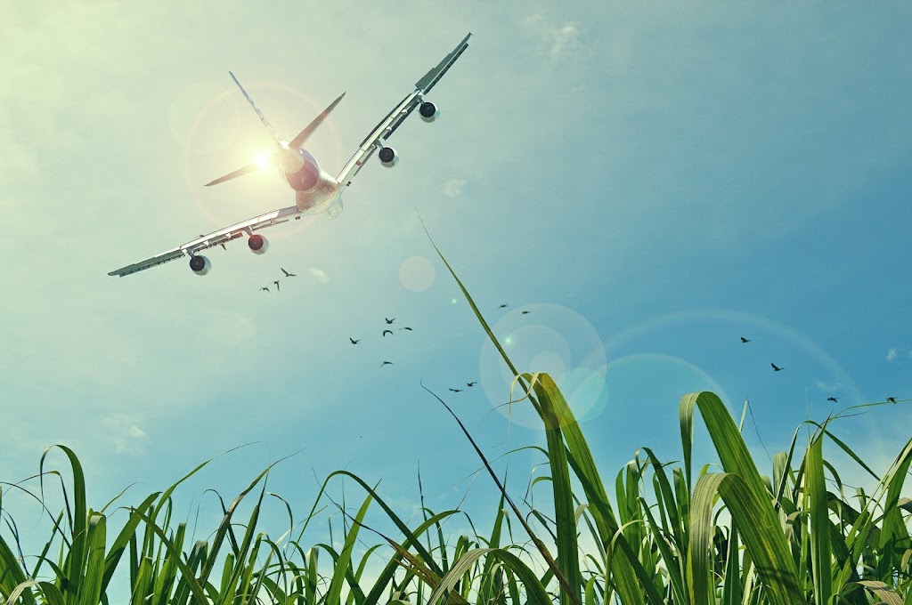 P&G Travel | 8400 Jane St Bldg. D, Concord, ON L4K 4L8, Canada | Phone: (905) 303-0200