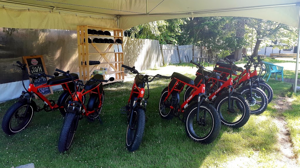 GoTomato.ca | 455 Dixon Rd, Mayne Island, BC V0N 2J2, Canada | Phone: (672) 882-9766