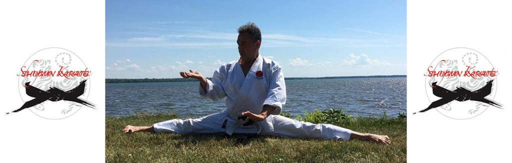 Zelli Shogun Karate Association | 16741 Boul Hymus, Kirkland, QC H9H 3L4, Canada | Phone: (514) 231-0122