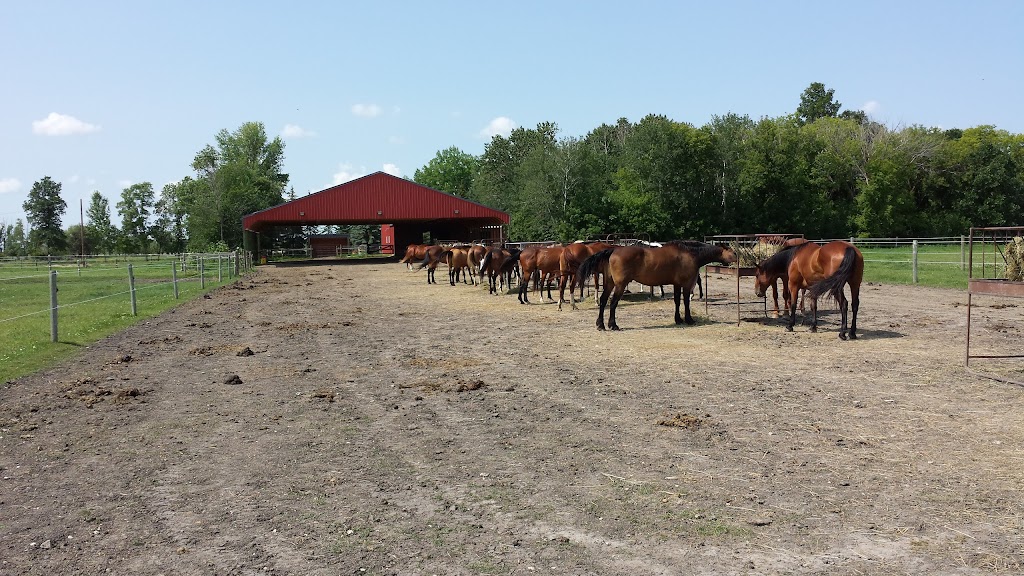 Poco Razz Farm | 130 Greenview Rd, Winnipeg, MB R2N 4C6, Canada | Phone: (204) 255-4717