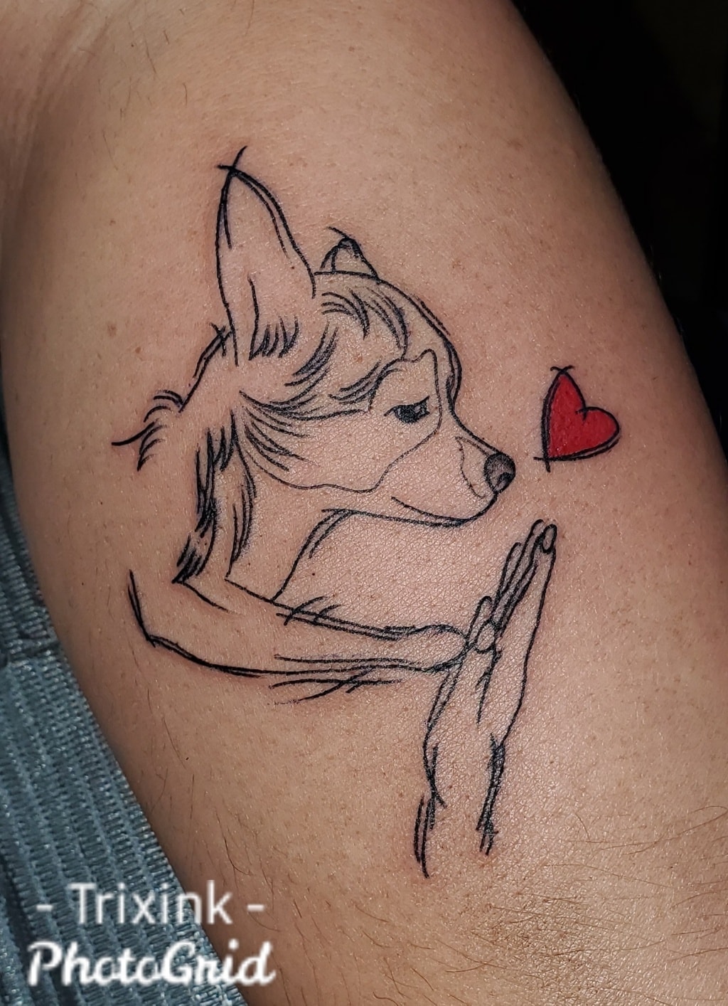 Trixink Tattoo | 645 Rue Richer, Larouche, QC G0W 1Z0, Canada | Phone: (518) 372-0609