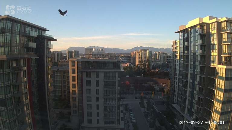 WFTA | 7333 Murdoch Ave, Richmond, BC V6Y 1Y4, Canada | Phone: (778) 251-5188