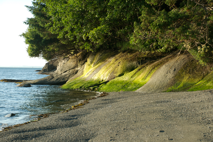 Nettles Farm | 4300 Matia View Dr, Lummi Island, WA 98262, USA | Phone: (360) 758-7616