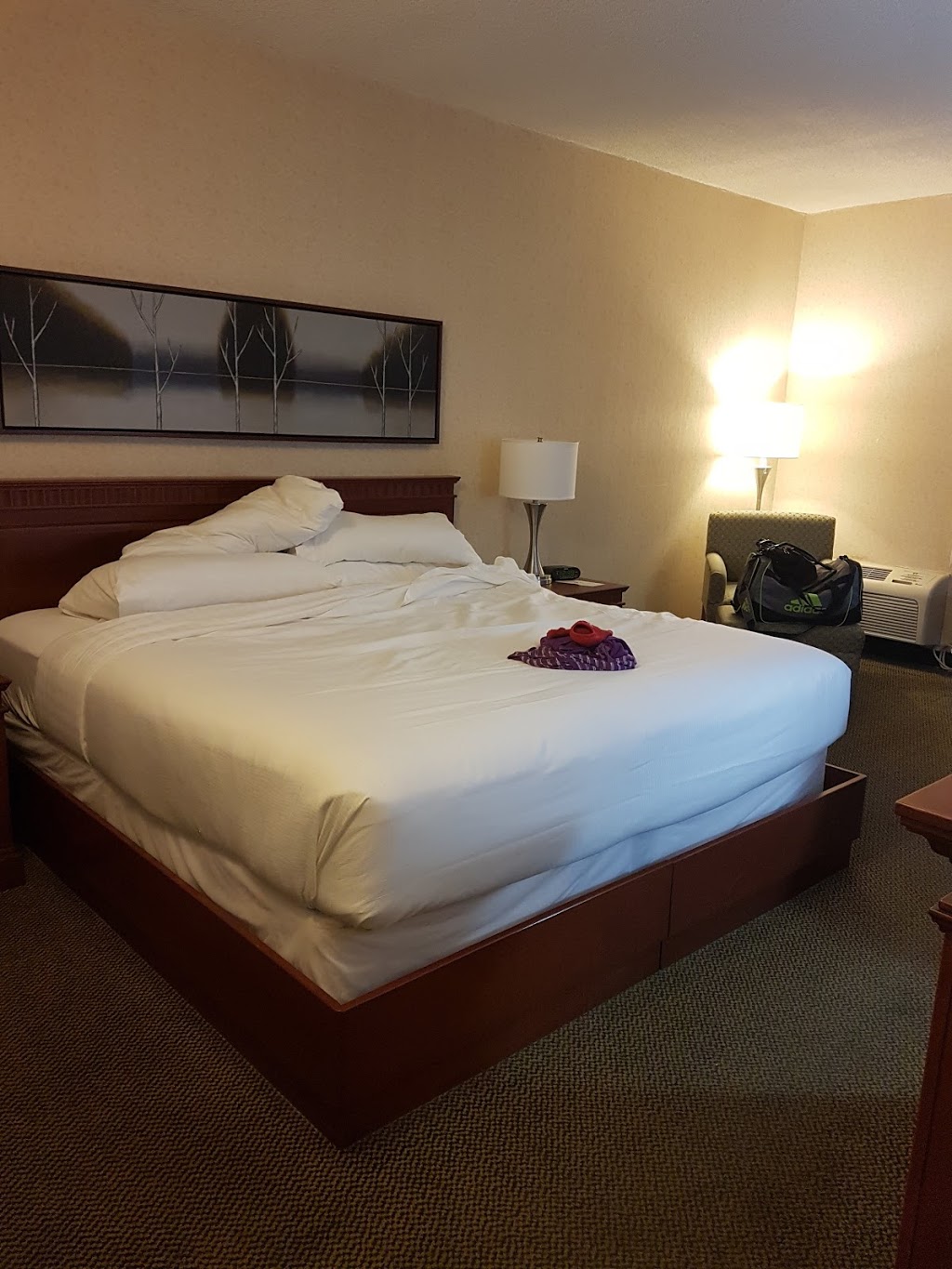 Holiday Inn Montreal Aeroport- Airport | 6500 Chemin de la Côte-de-Liesse, Saint-Laurent, QC H4T 1E3, Canada | Phone: (514) 739-6440