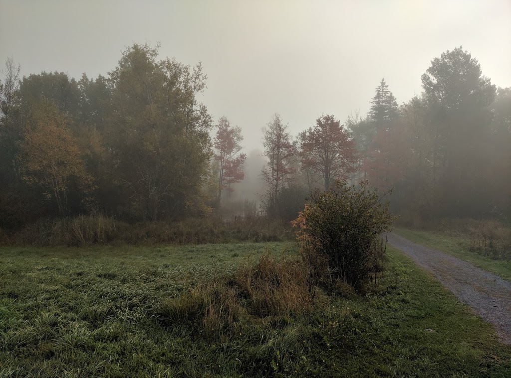 Sussex Bark Park | McLeod Dr, Sussex, NB E4E 2P5, Canada | Phone: (506) 432-4573