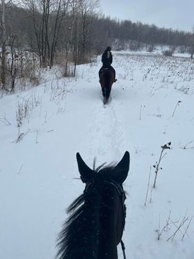 Ferme Équestre Aux Trois Temps | 49 Rang des Vingt, Saint-Basile-le-Grand, QC J3N 0E3, Canada | Phone: (514) 655-7019
