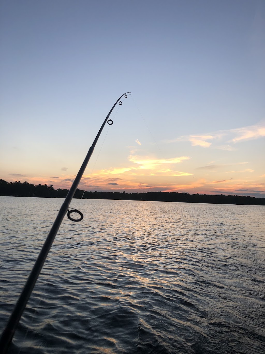 Pascals Fishing Charters | Government Dock Rd, Kawartha Lakes, ON K0M 2L0, Canada | Phone: (905) 999-7958