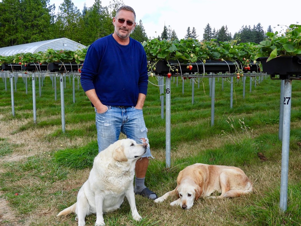Coast Berry Co Ltd | 10084 Nassichuk Rd, Powell River, BC V8A 0P2, Canada | Phone: (604) 487-9788