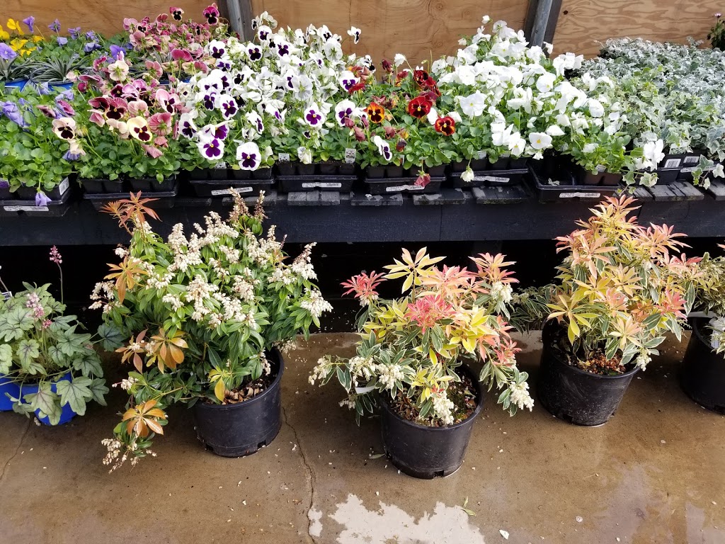 Bloom Greenhouse & Garden Centre | 1421 Hammonds Plains Rd, Hammonds Plains, NS B4B 1P6, Canada | Phone: (902) 832-9268