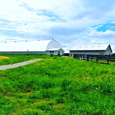 Tanglewood Equestrian | 5841 2 Line, Schomberg, ON L0G 1T0, Canada | Phone: (416) 346-4789