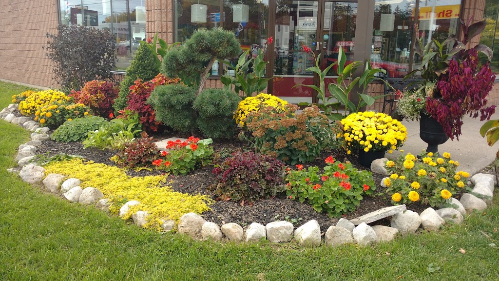 The New You Salon | 127 Argyle St S, Caledonia, ON N3W 1J1, Canada | Phone: (905) 765-4247