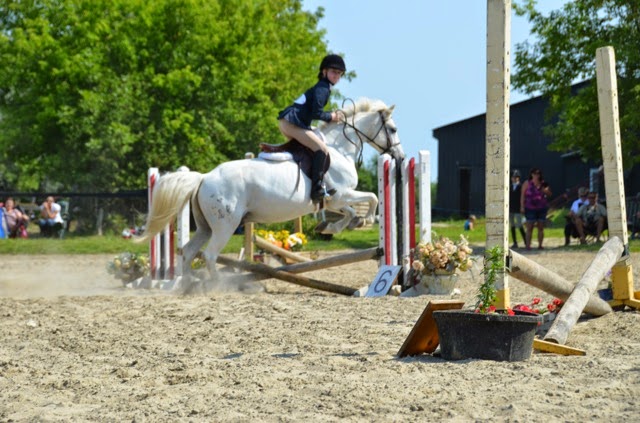 Grand Prix Breeders & Equestrian Centre | 7261 Third Line Rd S, Kars, ON K0A 2E0, Canada | Phone: (613) 489-1948
