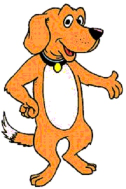 Due North Dog Training | 3347 Lakefield Rd, Lakefield, ON K0L 2H0, Canada | Phone: (705) 652-0682