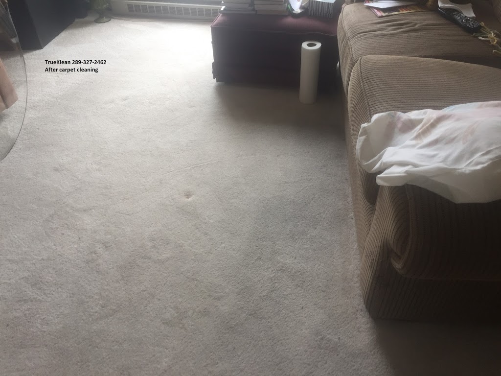 TrueKlean | 6496 Skipper Way, Mississauga, ON L5W 1P6, Canada | Phone: (289) 327-2462