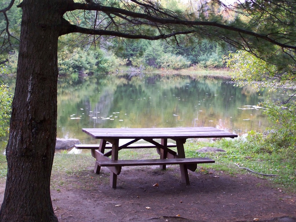 Lauriault Trail | Promenade Champlain, Chelsea, QC J9J, Canada