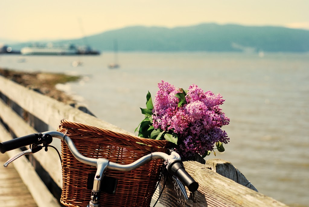 Visit Bellingham - Bellingham Whatcom County Tourism | 904 Potter St, Bellingham, WA 98229, USA | Phone: (360) 671-3990