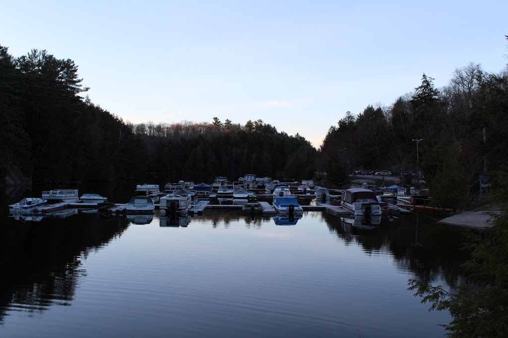 Big Hawk Lake Marina | 1673 Big Hawk Lake Rd, Algonquin Highlands, ON K0M 1J2, Canada | Phone: (705) 489-2429