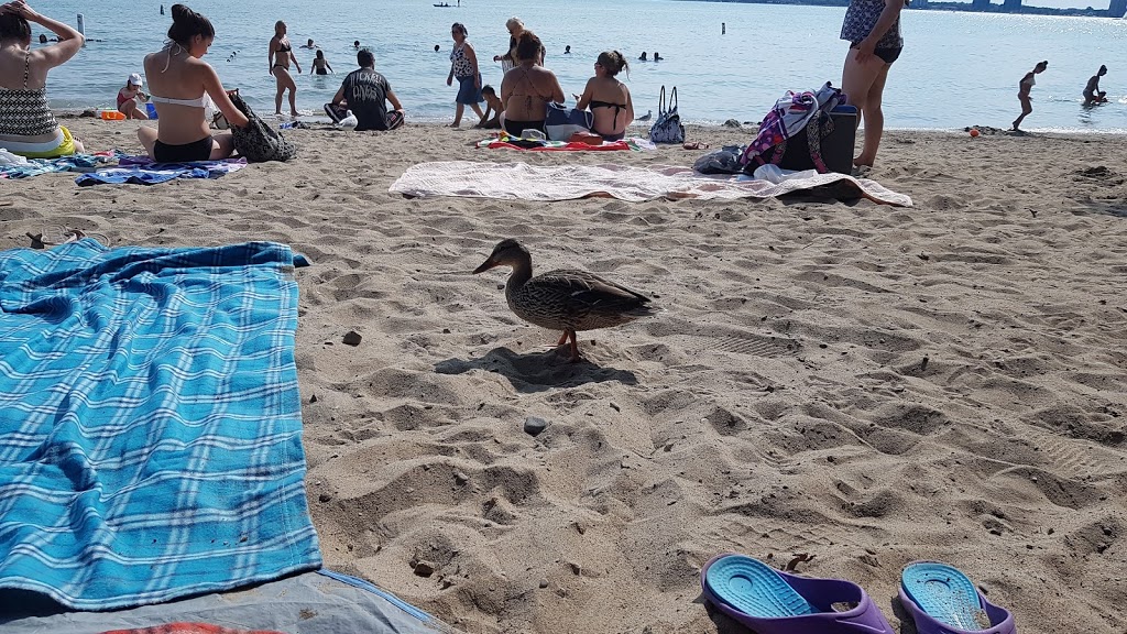 Johnsons Beach | Barrie, ON L4M, Canada | Phone: (705) 726-4242