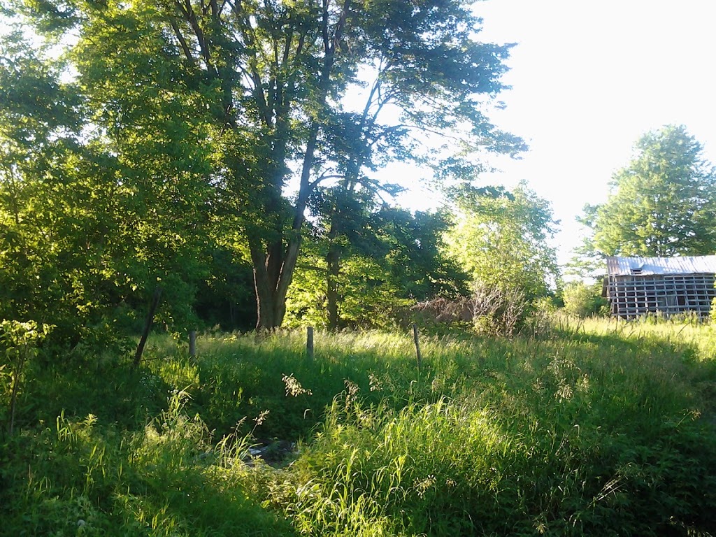 The Serene Way | 1036 Bordenwood Rd, Henderson, ON K0H 1B0, Canada | Phone: (613) 893-5214