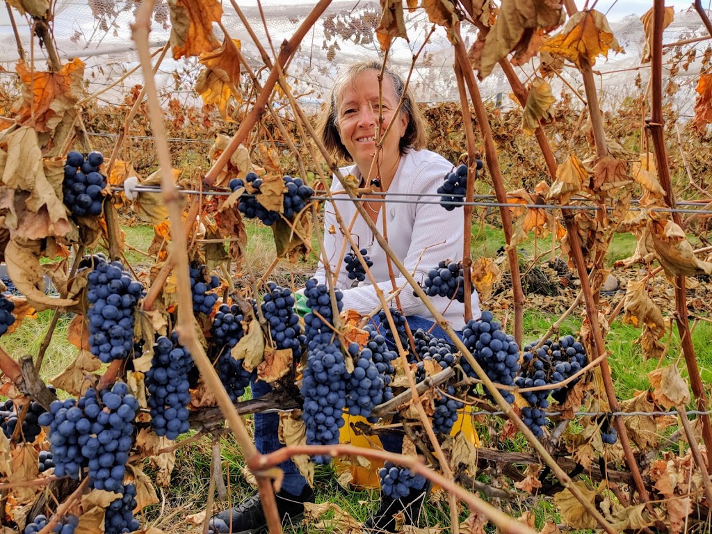 Vignoble de Pomone inc. | 144 Chemin De La Rivière Délisle S, Coteau-du-Lac, QC J0P 1B0, Canada | Phone: (514) 929-3166