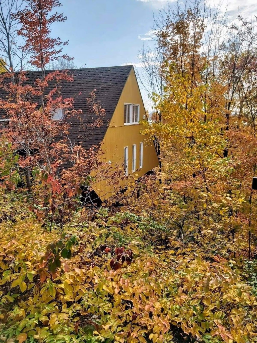 Chalet le Nid | 160 Rue du Plateau, Beaupré, QC G0A 1N0, Canada | Phone: (514) 710-7544