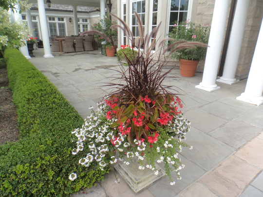 Green Ventures Landscape Care Limited | 75 Howard Pl, Kitchener, ON N2K 2Z4, Canada | Phone: (519) 571-7888