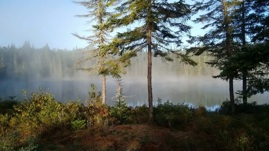 Marcheur des Bois s.e.n.c. | 351 102e Av, Saint-Côme, QC J0K 2B0, Canada | Phone: (450) 760-6206