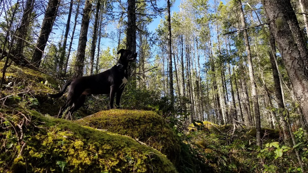 East Sooke Regional Park | East Sooke Road, Sooke, BC, Canada | Phone: (250) 478-3344