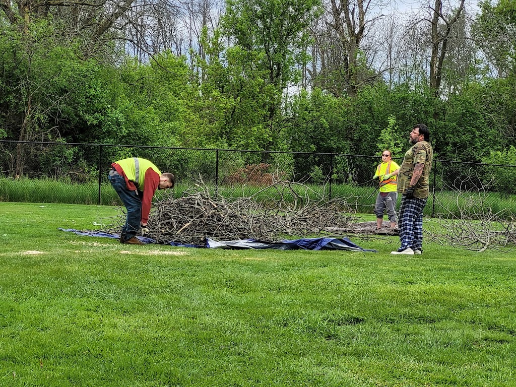 BOSSDAWG TREE REMOVALS | 362 Main St Apt 2, Deseronto, ON K0K 1X0, Canada | Phone: (613) 848-8326