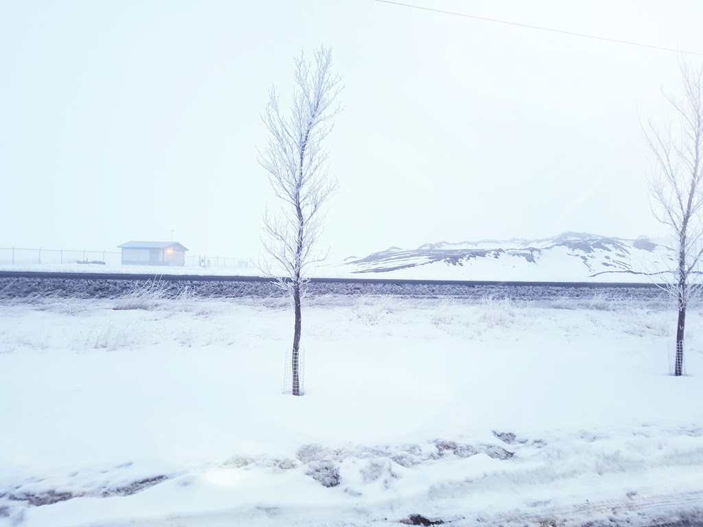 Walmart Canada Logistics PDC | 261039 Wagon Wheel Cres, Alberta T4A 0E2, Canada | Phone: (403) 291-8500