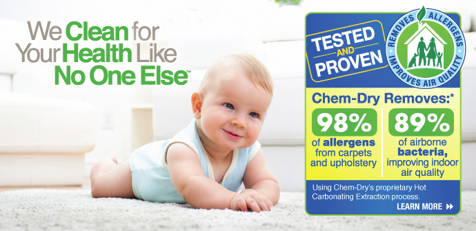 Fraser Valley Chem Dry | 10386 Jackson Rd, Maple Ridge, BC V2W 0A9, Canada | Phone: (877) 795-9250