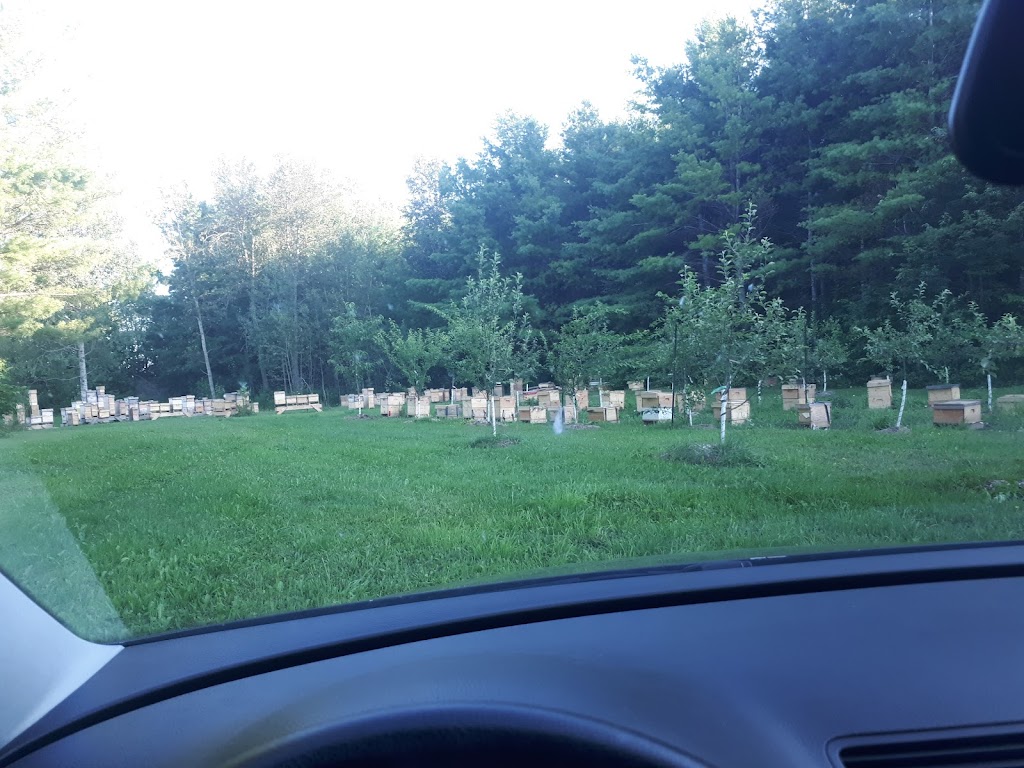 4thlinehoney | 96070 4 Line SW, Melancthon, ON L9V 2B9, Canada | Phone: (647) 216-7084
