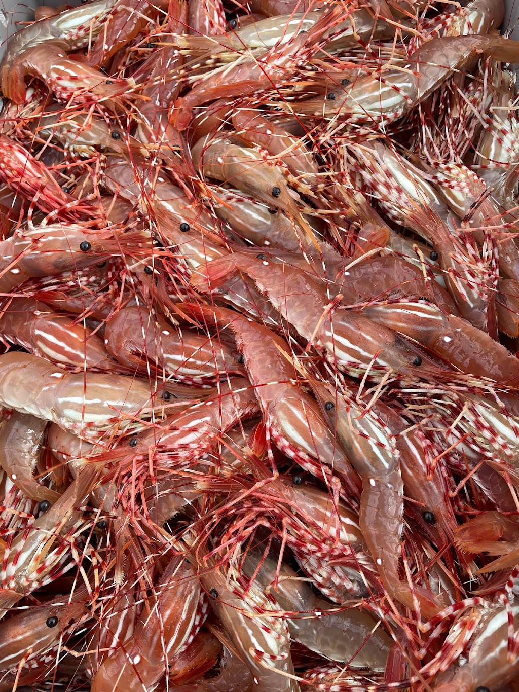 Prawns On The Spot | 3800 Bayview St, Richmond, BC V7E 4R7, Canada | Phone: (604) 754-6785