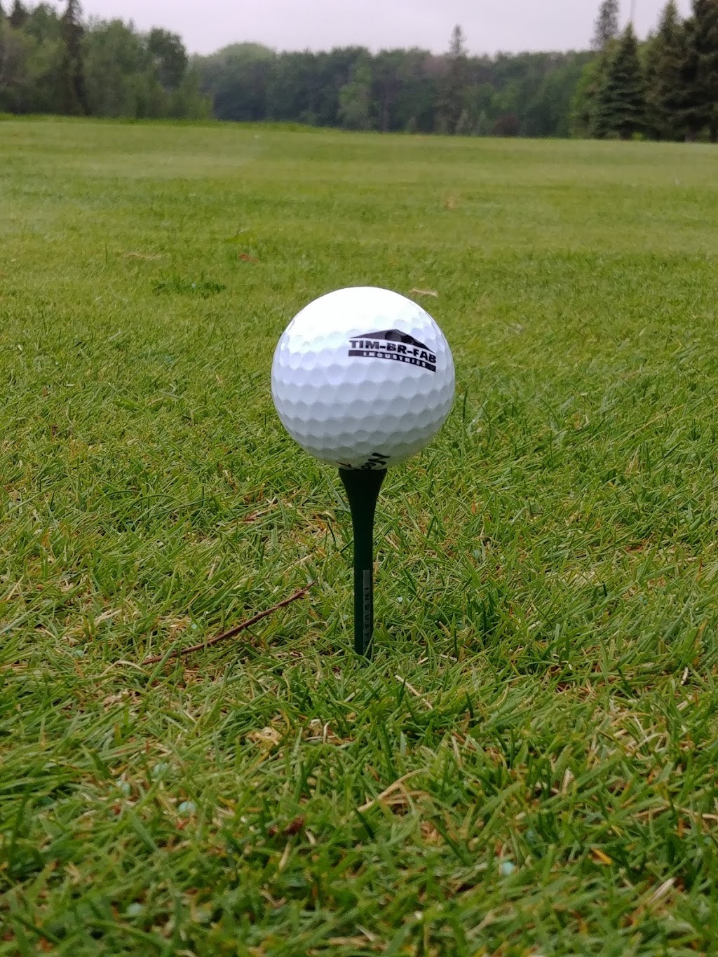 Pine Ridge Golf Club | RR#5, Winnipeg, MB R2C 2Z2, Canada | Phone: (204) 222-6477