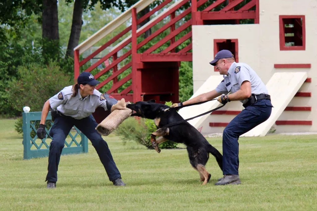 Police Dog Service Training Centre | Queen Elizabeth II Highway, Innisfail, AB T4G 1S8, Canada | Phone: (403) 227-3346