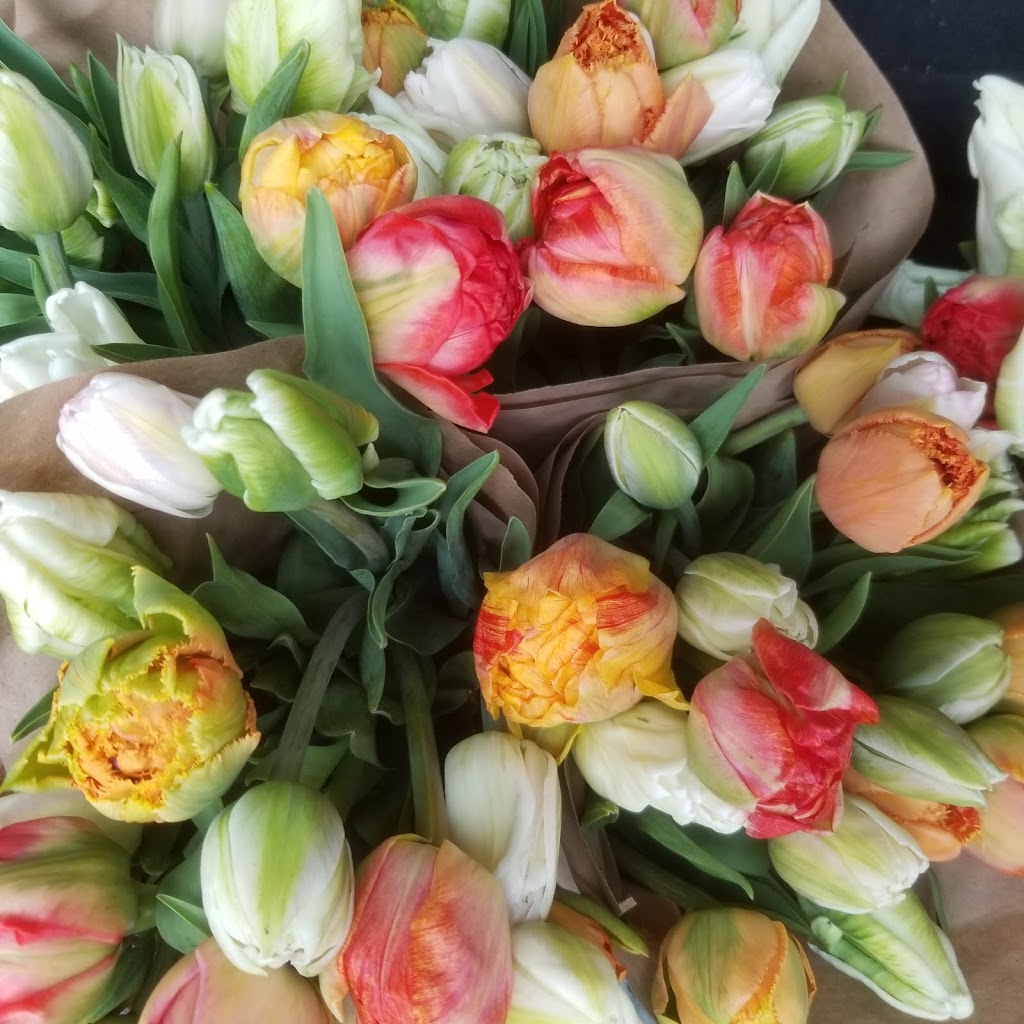 Fleurs de ferme | rang 8, Sainte-Christine, QC J0H 1H0, Canada | Phone: (450) 521-8931