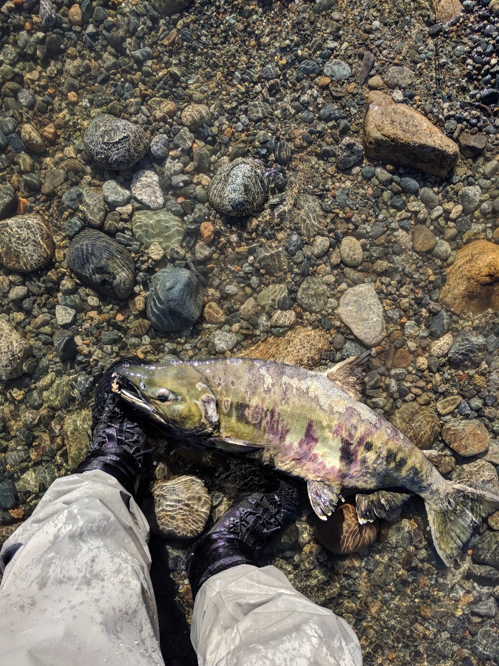 Ruskin Dam | Hayward St, Mission, BC V4S, Canada