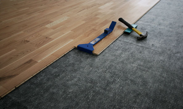 Hollis Raymond Construction Inc. | 6604 82 Ave NW Unit 3, Edmonton, AB T6B 0E7, Canada | Phone: (587) 783-6267