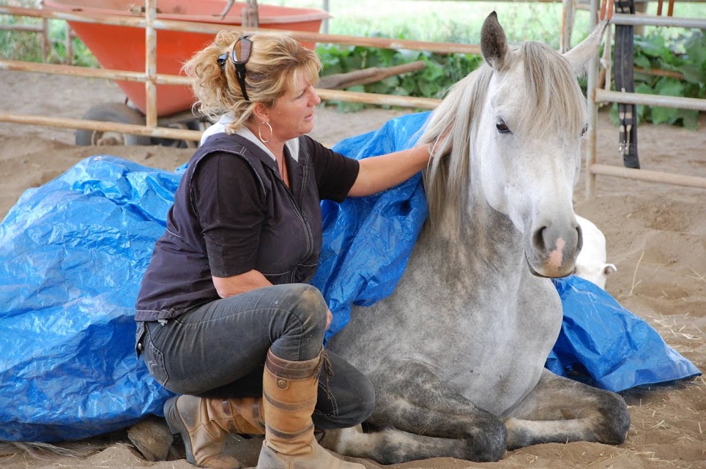 Turning Point Farm | 864 Corkscrew Rd, Armstrong, BC V0E 1B5, Canada | Phone: (250) 546-2477
