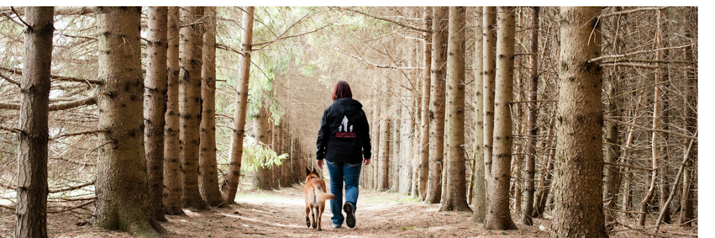 Pawsitive Canine Connection | RR#2, 6444 Line 86, West Montrose, ON N0B 2V0, Canada | Phone: (519) 500-3594