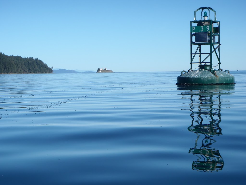 Deep Bay Kayaking | 1164 Parry Pl, Comox, BC V9M 3Y9, Canada | Phone: (778) 939-7676