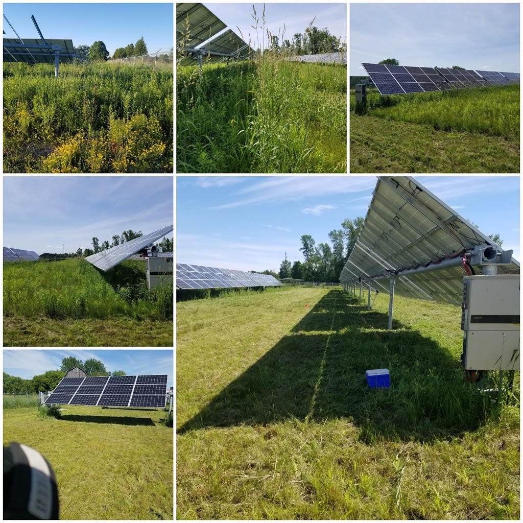 BZ Lawn Care & Property Maintenance | 259 James St E, Orillia, ON L3V 1M3, Canada | Phone: (705) 345-4454