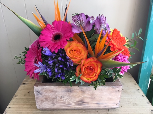 Willow Park Florist | 6223 31 Ave NW #908, Calgary, AB T3B 3X2, Canada | Phone: (403) 278-5170