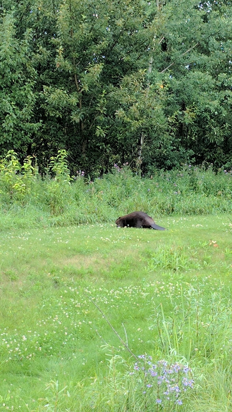 Sherwood Park Shooting Range | 53°1927.4"N 112°5125.3"W, Beaver County, AB T0B 2M0, Canada